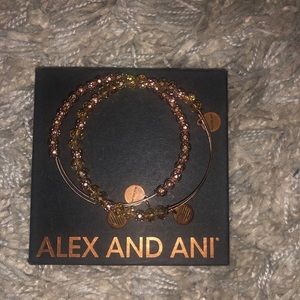 Set Of Two Bronze Alex And Ani Bracelets